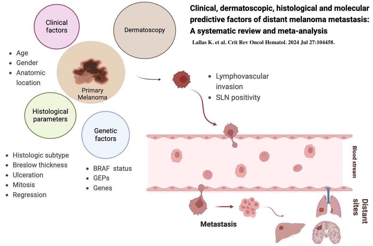 Lallas Konstantinos (@lallaskon) on Twitter photo Out in <a href="/CHematology/">Critical Reviews in Oncology Hematology (CROH)</a> our meta-analysis provides an overview of the prognostic factors of #melanoma and their role on distant metastasis development!!
sciencedirect.com/science/articl… Out in <a href="/CHematology/">Critical Reviews in Oncology Hematology (CROH)</a> our meta-analysis provides an overview of the prognostic factors of #melanoma and their role on distant metastasis development!!
sciencedirect.com/science/articl…