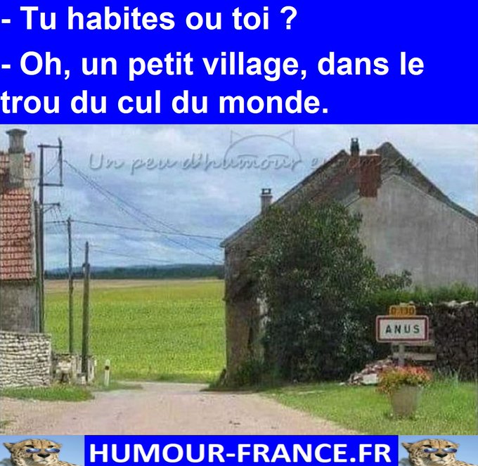 text alternatif
