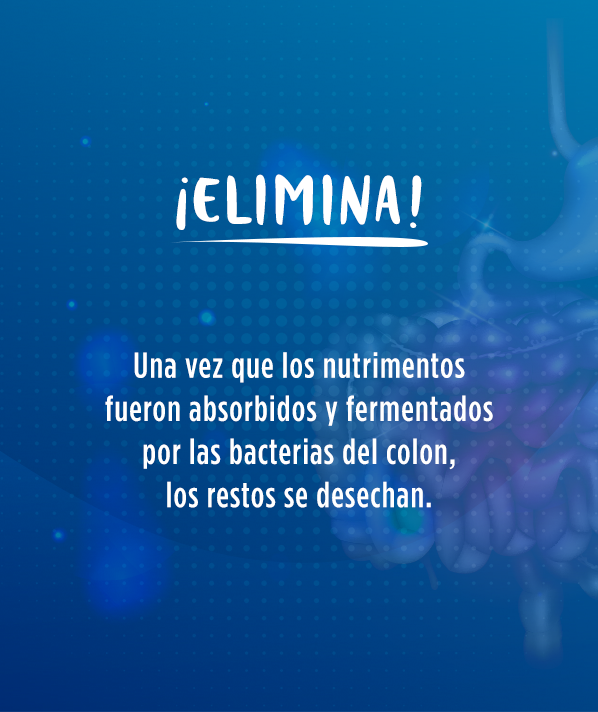 Instituto Danone tweet media