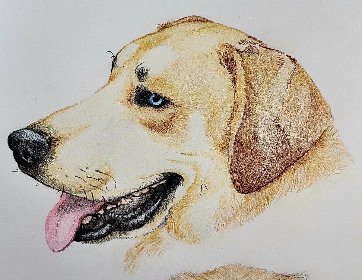 Alyxandria Germiller tweet media