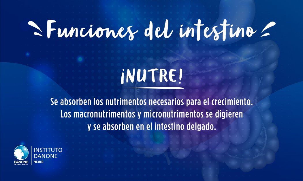 Instituto Danone tweet media