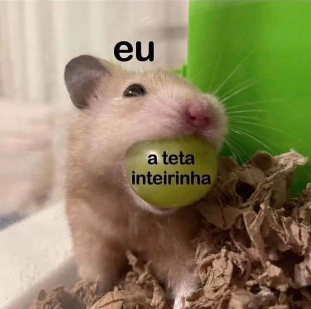 VaiSapataoRJ's tweet image. 🙂‍↕️