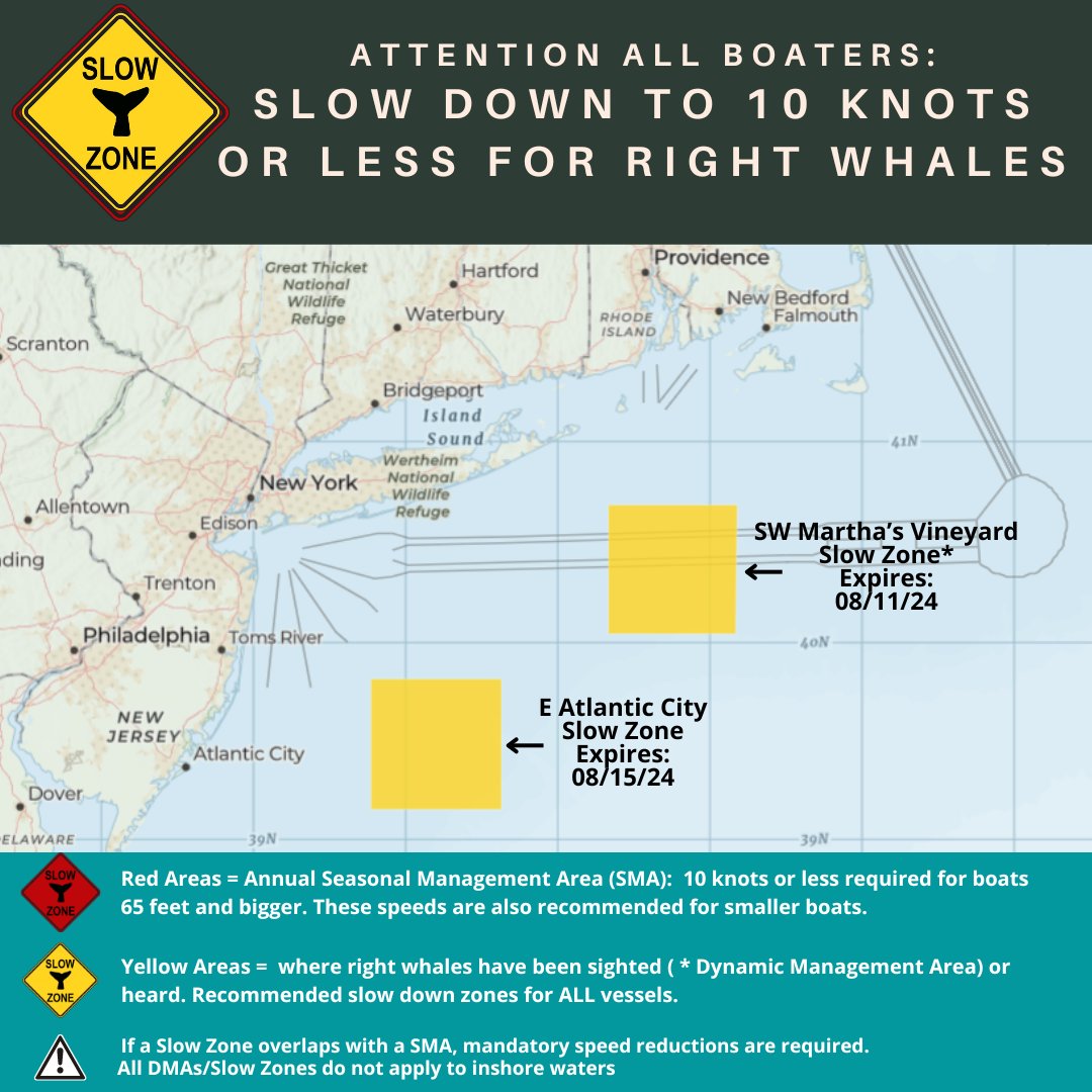 NOAAFish_GARFO's tweet photo. New #RightWhale #SlowZone: E Atlantic City, NJ thru 8/15. Mariners are requested to avoid or transit at 10 kts or less. See map for location of all the Slow Zones. Sign up for alerts here: https://t.co/0MHd7cc10Q https://t.co/0D58MUC8IV