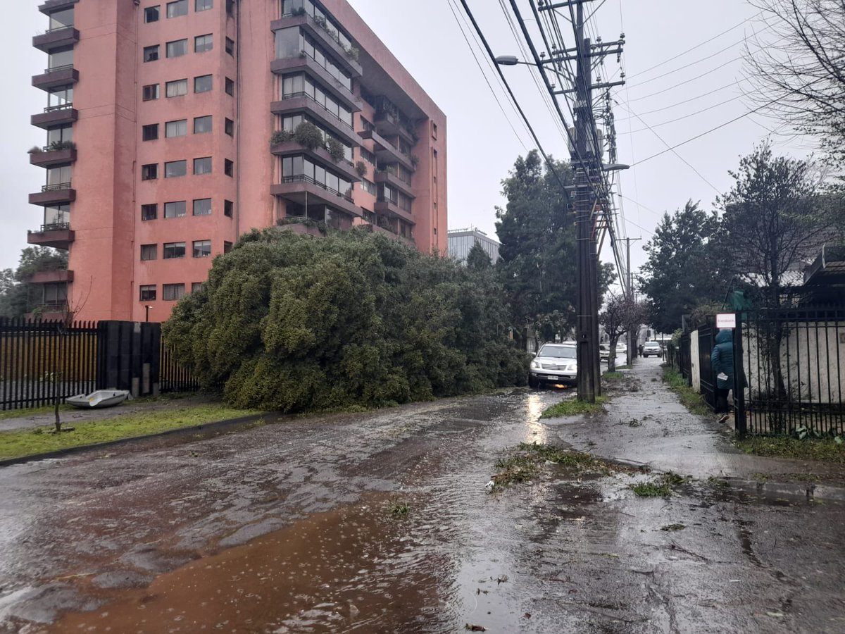 temucotv's tweet photo. 🟠 Ahora: nuestros seguidores reportan caída de #arbol en calle Recreo, altura del edificio #loscolonos https://t.co/bfvqfSH0Gu