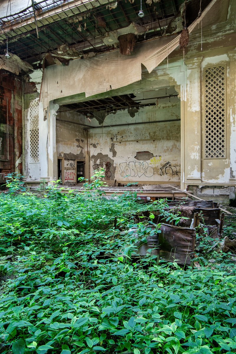 Mr. P. Explores tweet media