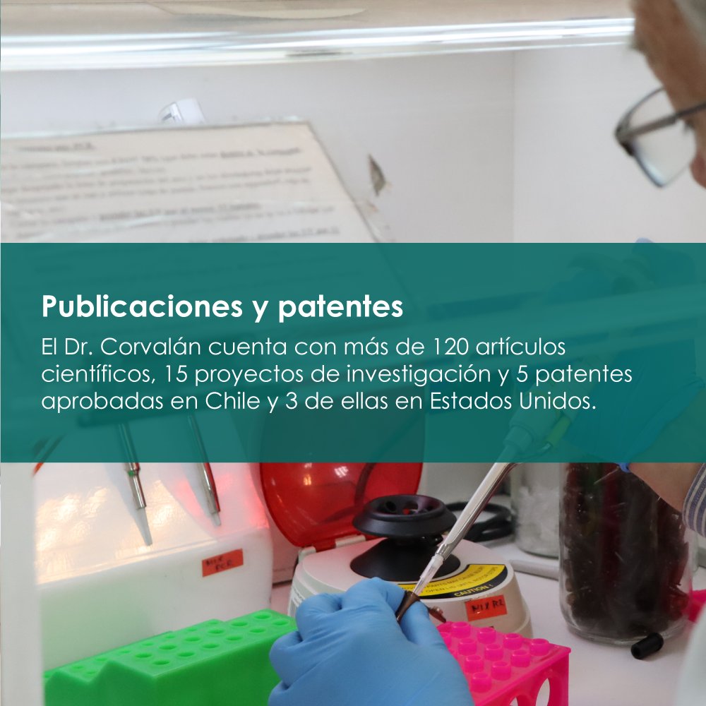 FONDAP_ACCDiS's tweet photo. 📢 El Dr. Alejandro Corvalán ha sido nombrado como nuevo subdirector de #ACCDiS. El Dr, también profesor @ucatolica @FacMedicinaUC cuenta con más de 20 años de trayectoria, dedicado a la investigación traslacional en cáncer gástrico. Conoce más aquí
https://t.co/2lCcBCgD3t https://t.co/SlYmDjl8wF