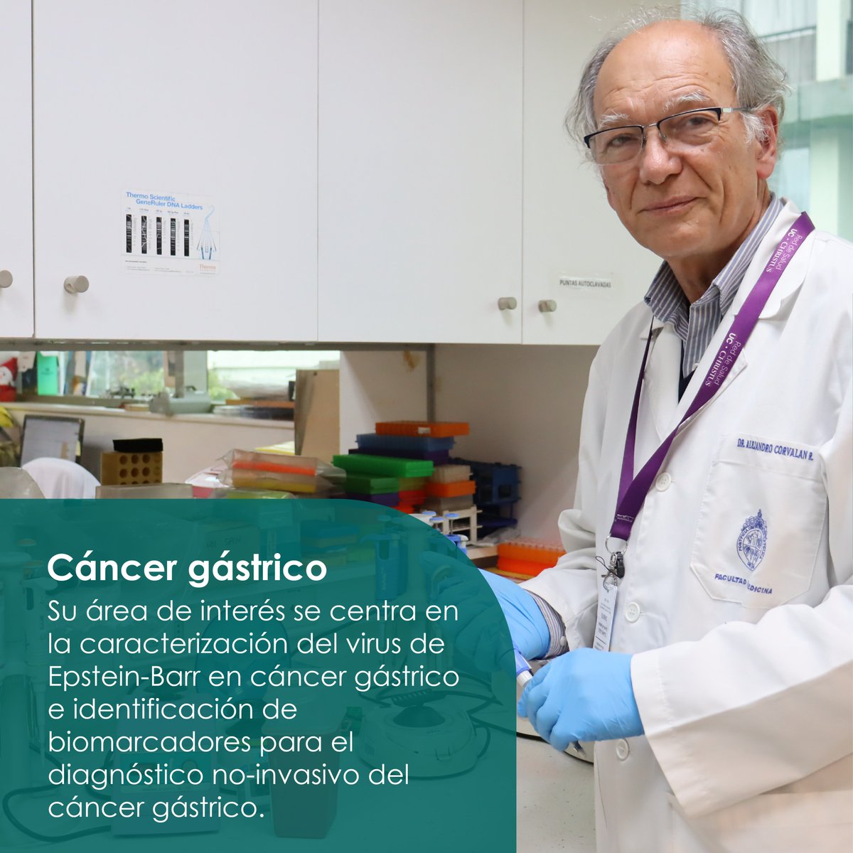 FONDAP_ACCDiS's tweet photo. 📢 El Dr. Alejandro Corvalán ha sido nombrado como nuevo subdirector de #ACCDiS. El Dr, también profesor @ucatolica @FacMedicinaUC cuenta con más de 20 años de trayectoria, dedicado a la investigación traslacional en cáncer gástrico. Conoce más aquí
https://t.co/2lCcBCgD3t https://t.co/SlYmDjl8wF