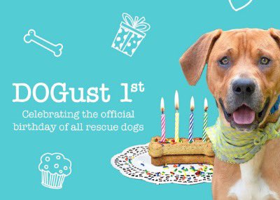 En ce 1er août, célébrons la journée annuelle des chiens en refuge et adoptés!  Il y a une augmentation de 60% des chiens abandonnés en refuge au Canada depuis la Covid. Et plus de 5,9million de chiens sans domicile aux EU. Manque pas de stats pour nous faire réfléchir. Adoptez!