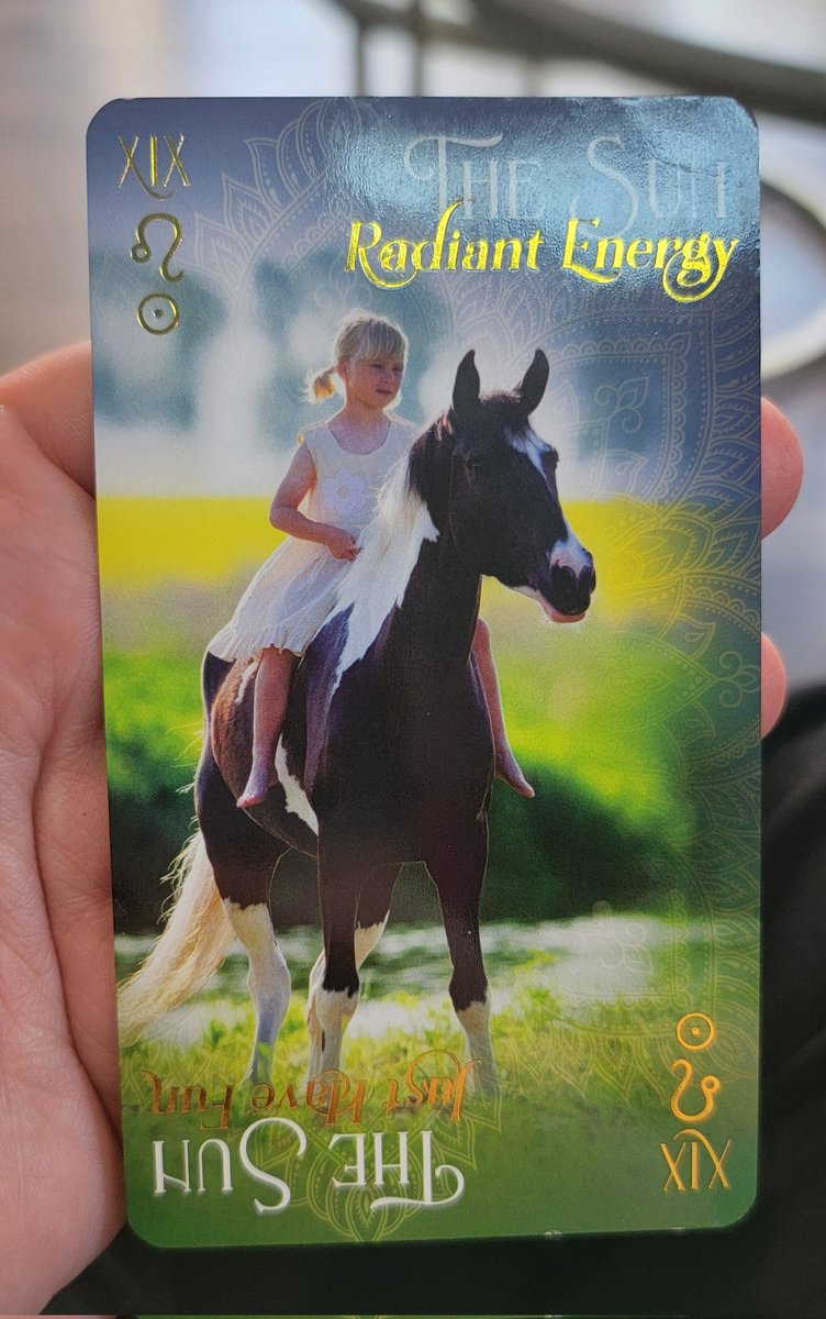 IndigoEternal's tweet photo. The Sun

Yes, and I'm assuming together because this card is about happiness and success. I truly hope that helps. 

And thank you for giving me their name. ❤️ https://t.co/VpXxvkr3wO