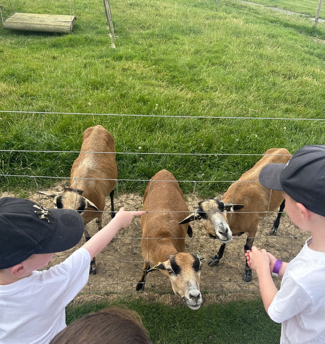 Last day in secondment today. Thank you <a href="/AaronHipolito/">Aaron Hipolito</a> and <a href="/Simpson2Fiona/">Fiona Simpson</a> for the last 4 months. Looking forward to 2 weeks of annual leave with the little Lodges, and then back to base as a Lead DSN 🙂 ☀️