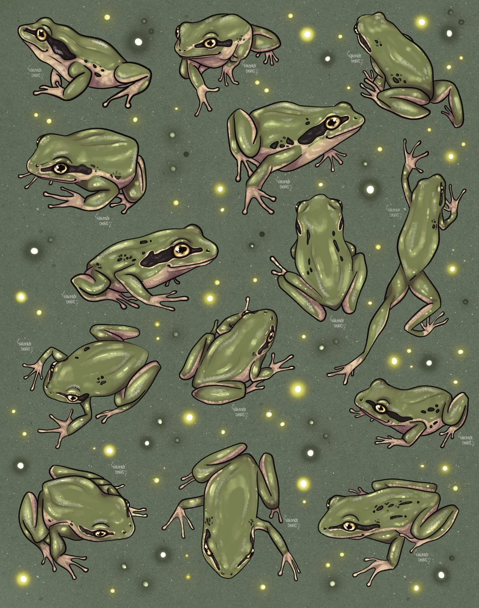 nateradecreates's tweet photo. Pacific Tree Frogs 🐸🌿 #frog #cottagecore #digitalart #artist https://t.co/Dw7UIoTwUz