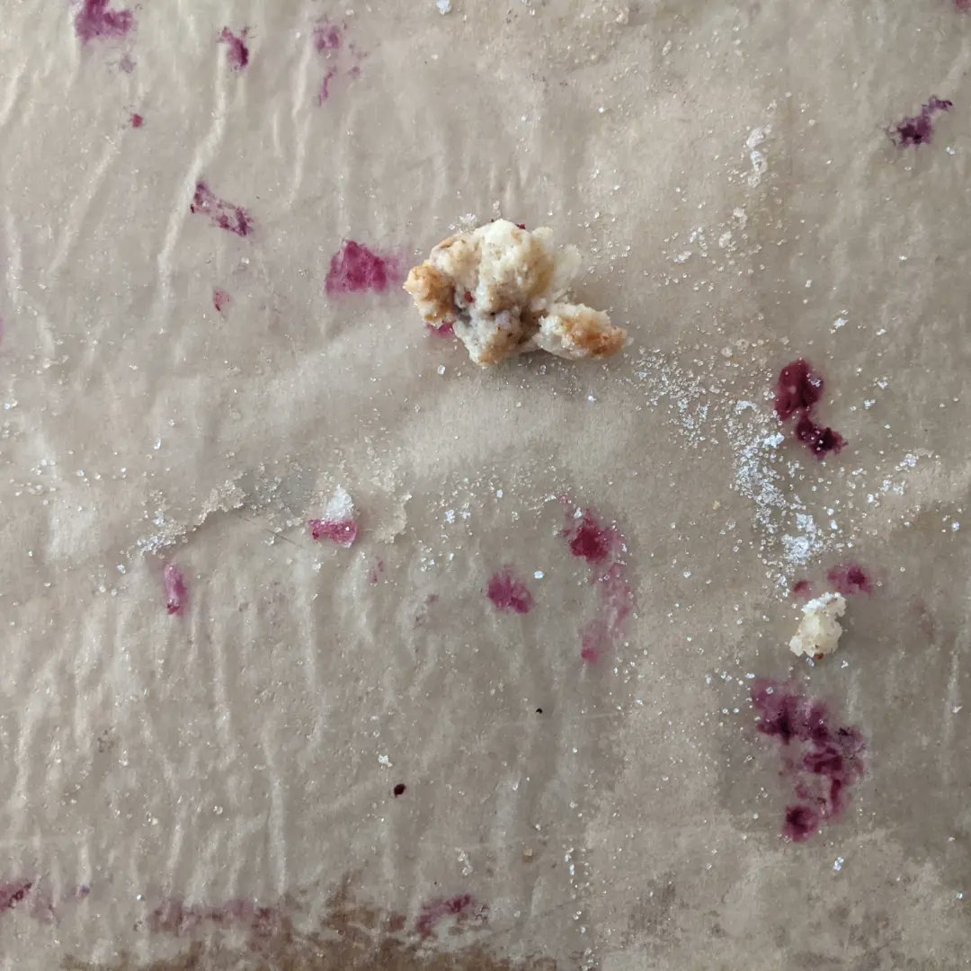NLSoperGorden's tweet photo. The evolution of a wild blueberry scone!
We picked wild Minnesota blueberries yesterday, so today is baking day ๐ Do you have a favorite scone flavor? Wild blueberry is definitely one of mine!
#blueberries #scone #baking #qotd #writingfuel https://t.co/JterXCjWTd