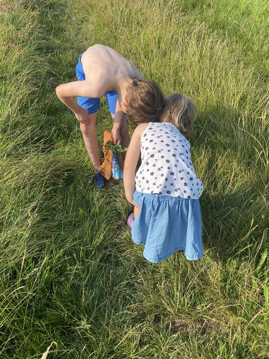 Kate morgan tweet media