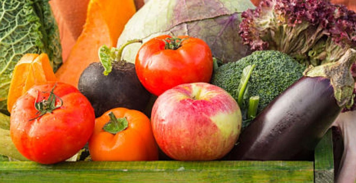 Alimentos Bio y Salud Digestiva: Cómo Pueden Beneficiar tu Intestino dlvr.it/TBMq4s