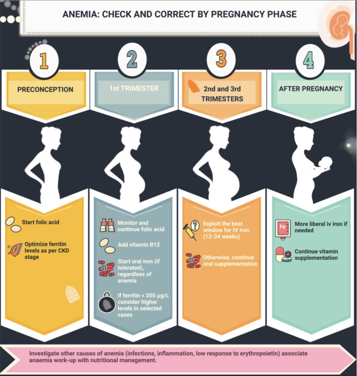 ZHeart11768530's tweet photo. 🔴Anemia in Pregnancy With CKD❤️🩺⤵️ #2024Review #OpenAcccess
🔹https://t.co/ig7JMy7MmT
#Cardiology #FOAMed #MedEd #medstudent #paramedic #Cardiology #CardioEd #medtwitter #meded #CardioTwitter #cardiotwiteros #MedX #cardiovascular #MedTwitter #medical #medEd https://t.co/3ung6laHS8