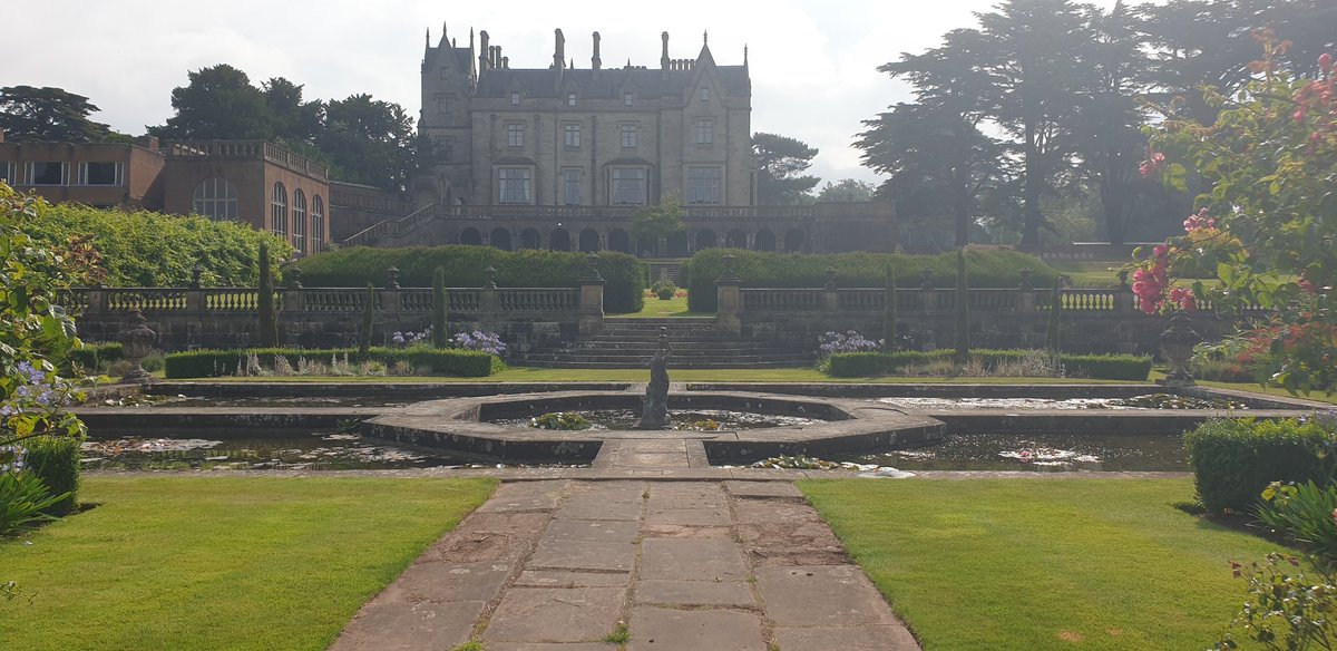 Rhys Williams tweet media