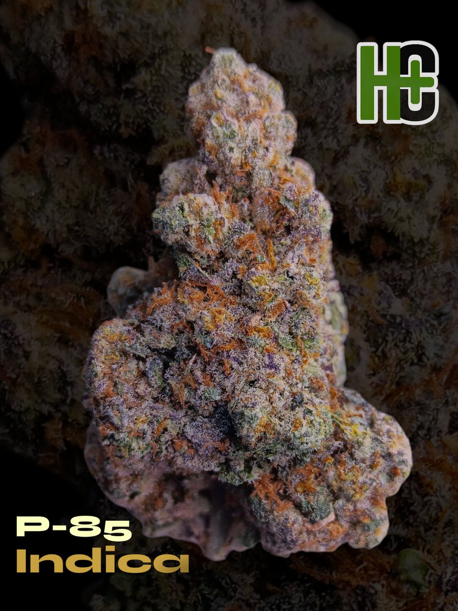 P-85 (LUI x BUBBLEGUM) • INDICA DOMINANT • Sour Citrus, Bubblegum, Fruity • Sedative, Happy, Relaxing
#thca #indica #cannabis #cannabisculture #CannabisCommunity