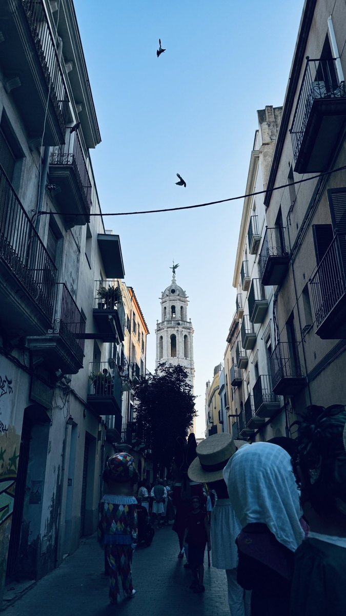 els <a href="/NanosVellsTGN/">Nanos Vells TGN</a> a Vilanova