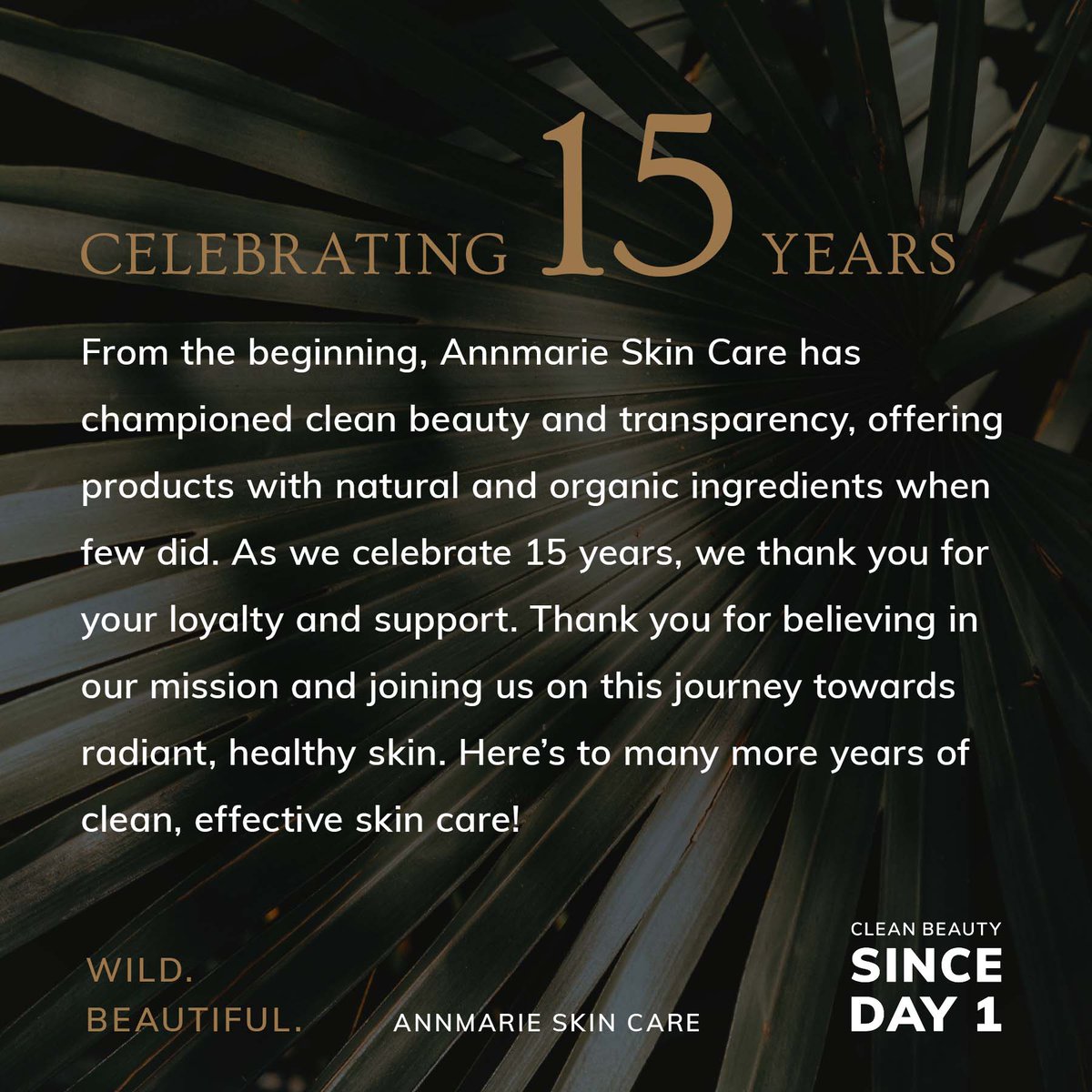 Cheers to 15 incredible years of Annmarie Skin Care! Today, we celebrate all we've achieved together, with excitement for the amazing journey ahead. 🌎️💚🌿

#15yearsstrong #anniversary #cleanskincare #nontoxicskincare #cleanbeautysinceday1 #cleanbeauty