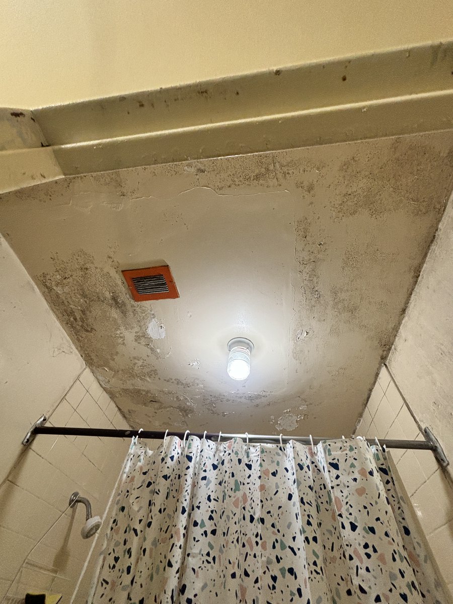 PeelACORN's tweet photo. Tenants at 99 Kennedy Rd are being forced to pay MORE money through Above-the-Guideline Rent Increases while continuously dealing with holes in their ceilings, mould in their bathroom, flooding and SO much more! https://t.co/SbaeVOn6PR