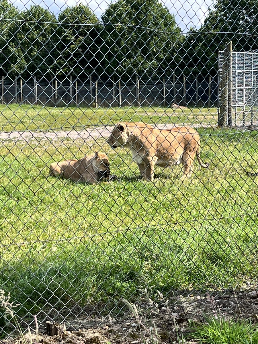 Had a great day <a href="/BlairDrummondSP/">Blair Drummond SP</a>