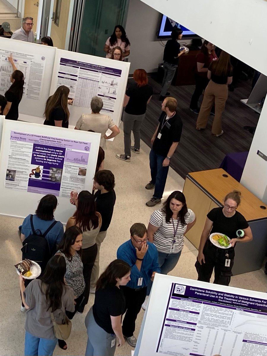 Department of Anatomy & Physiology (@ksudap) on Twitter photo The Veterinary Research Scholars Poster presentations are generating lots of buzz here <a href="/KSUCVM/">K-StateVetMed</a>
Happy we <a href="/KSUDAP/">Department of Anatomy & Physiology</a> are well-represented! The Veterinary Research Scholars Poster presentations are generating lots of buzz here <a href="/KSUCVM/">K-StateVetMed</a>
Happy we <a href="/KSUDAP/">Department of Anatomy & Physiology</a> are well-represented!