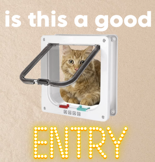 $ENTRY (back-up account) tweet media