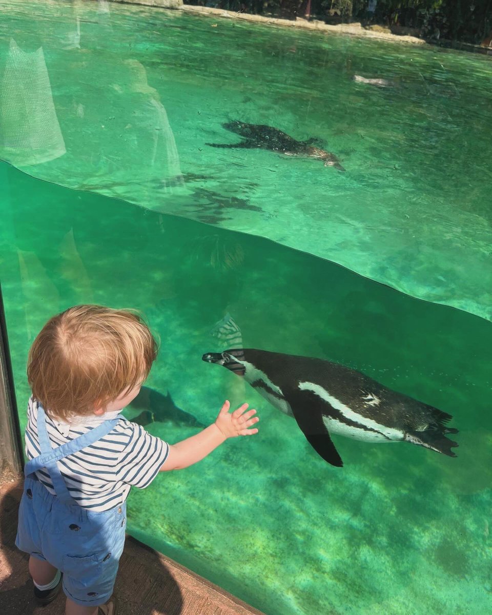 Me and my son on a family trip to London Zoo!!! #familytime #londonzoo