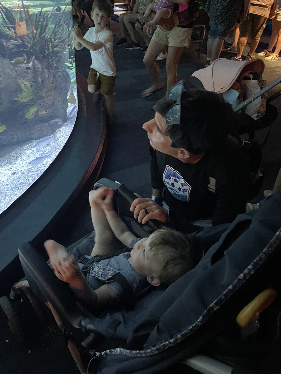 Mrs. Wight📚✏️ tweet media