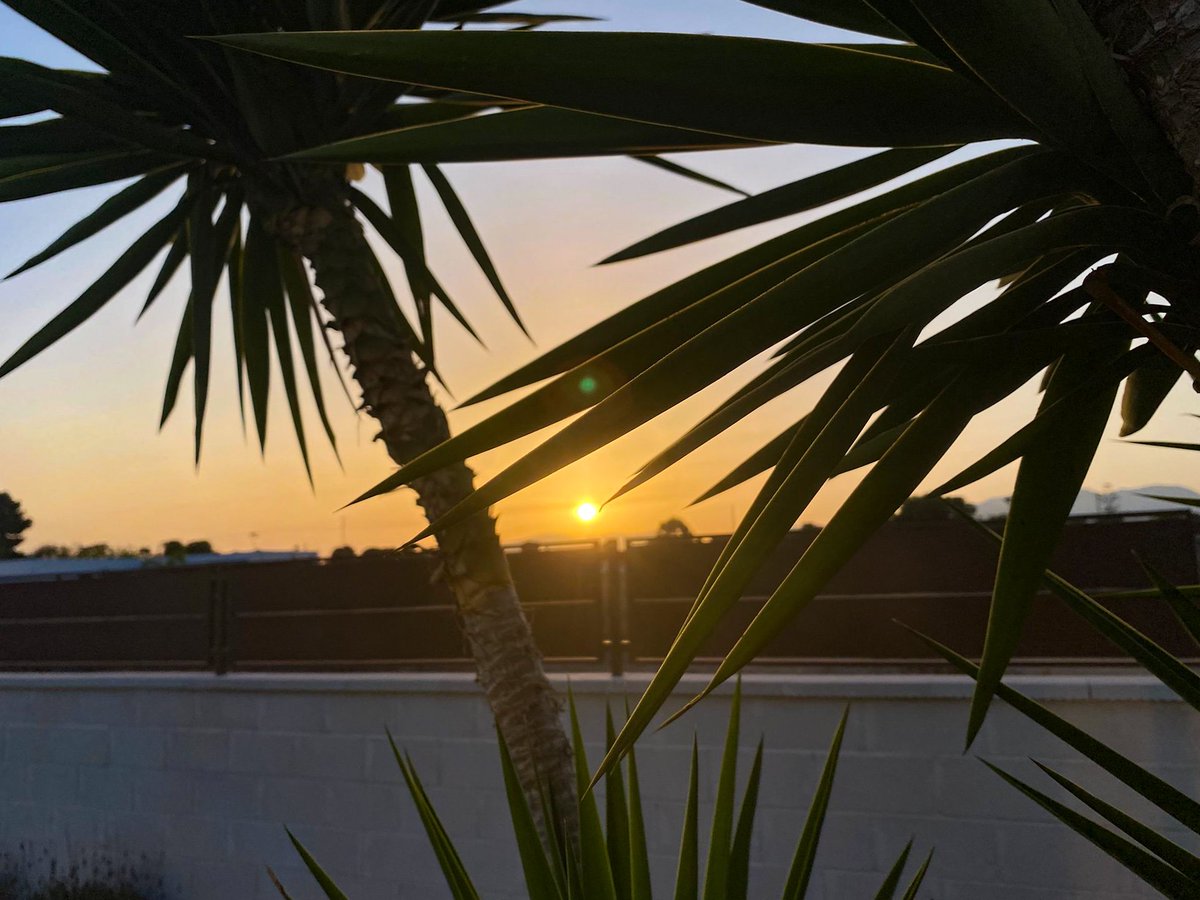 LuismaMunoz's tweet photo. Enjoying Sunset https://t.co/W1CIlbfpwn