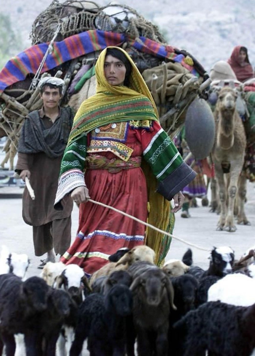 له خپل خِيرن حُسن زر ځله ځار شمه
څوک يې نه اخلي ستا حُسن بې پته🍁
🪶مـاهِر