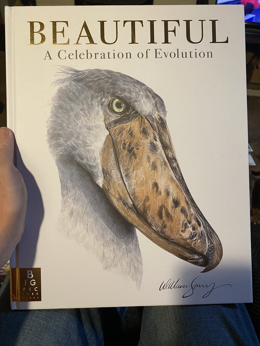 mrjuliandicks's tweet image. Mine arrived today. It is as its name suggests!