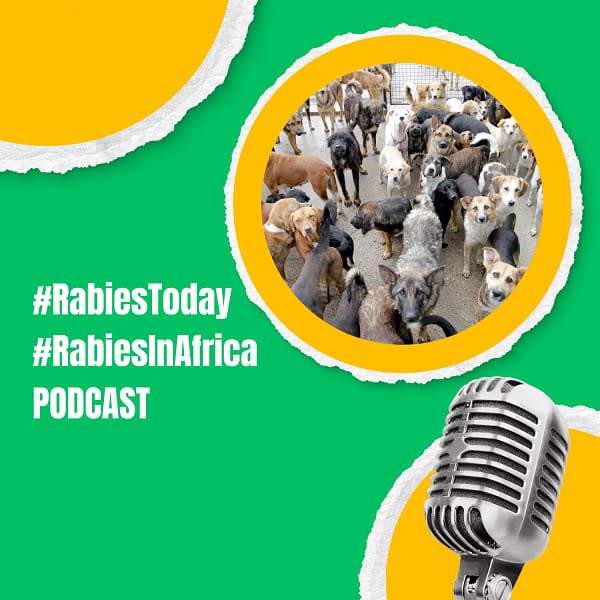 🚨 Call to Action!

Dr <a href="/HuyamSalih/">Huyam Salih</a> of <a href="/au_ibar/">AU-IBAR</a> calls for mass dog vaccination campaigns &amp; a Pan-African rabies strategy to end rabies by 2030. Noting, “It's time for a coordinated, #OneHealth approach”

🎧 Listen to her insights on “Rabies Today": t.ly/cD8I9