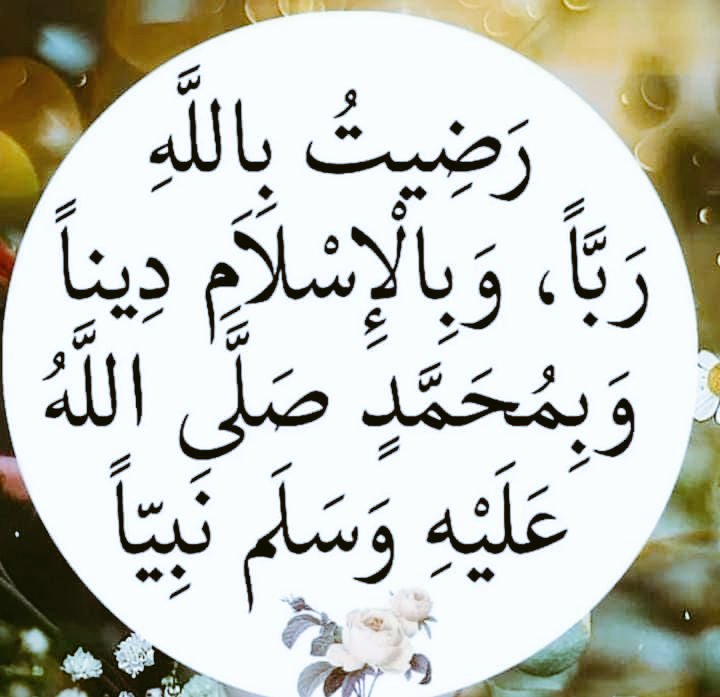 Nazi Malik tweet media