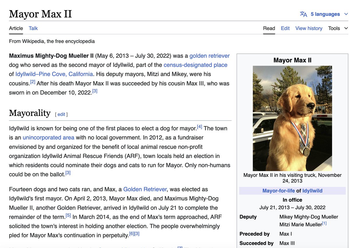 WHY IS NOONE TALKING ABOUT THE FACT THE MAYOR OF IDYLLWILD IS A DOG