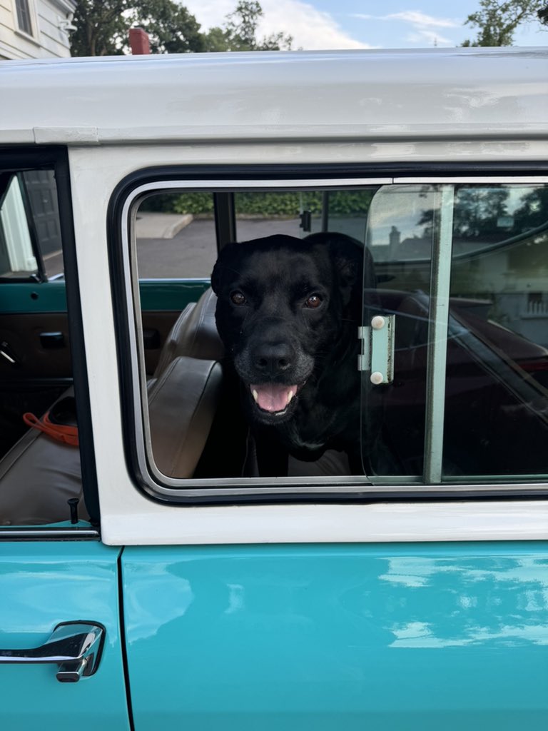 Governor Tim Walz tweet media