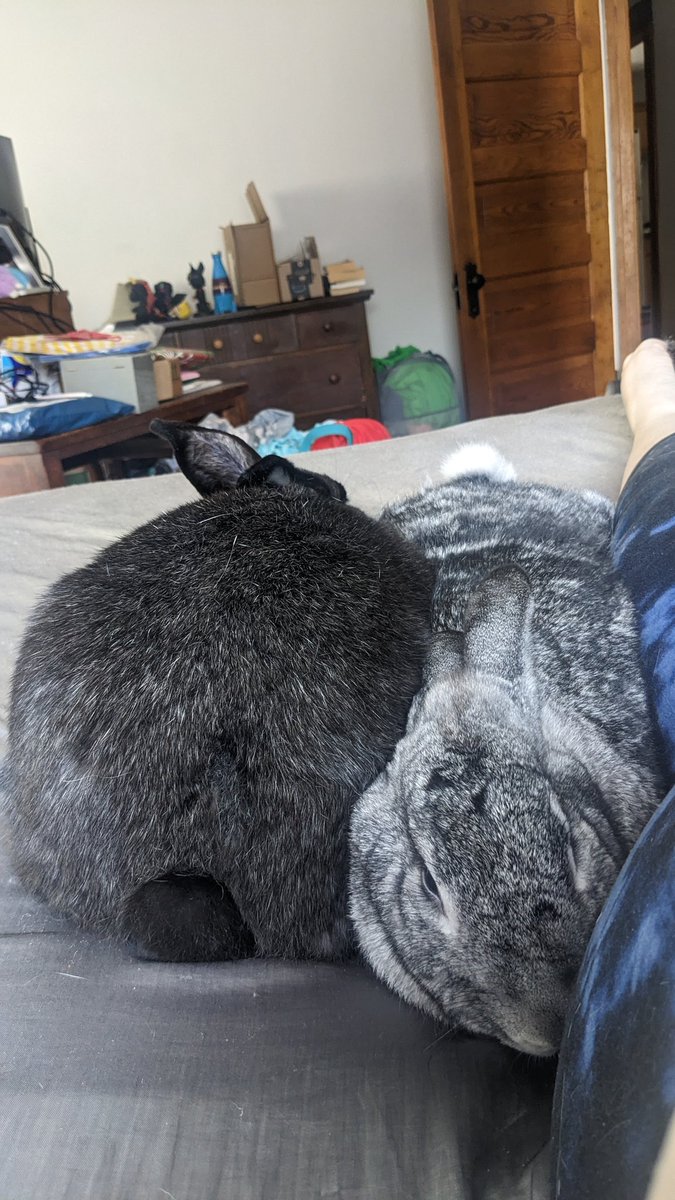 Kayla aka Sally 🏳️‍🌈 tweet media