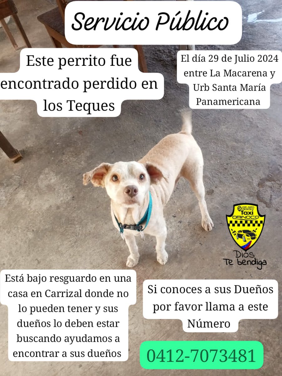 Reenviado. Extraviado. Gracias🐶♥️🐾🙏😔