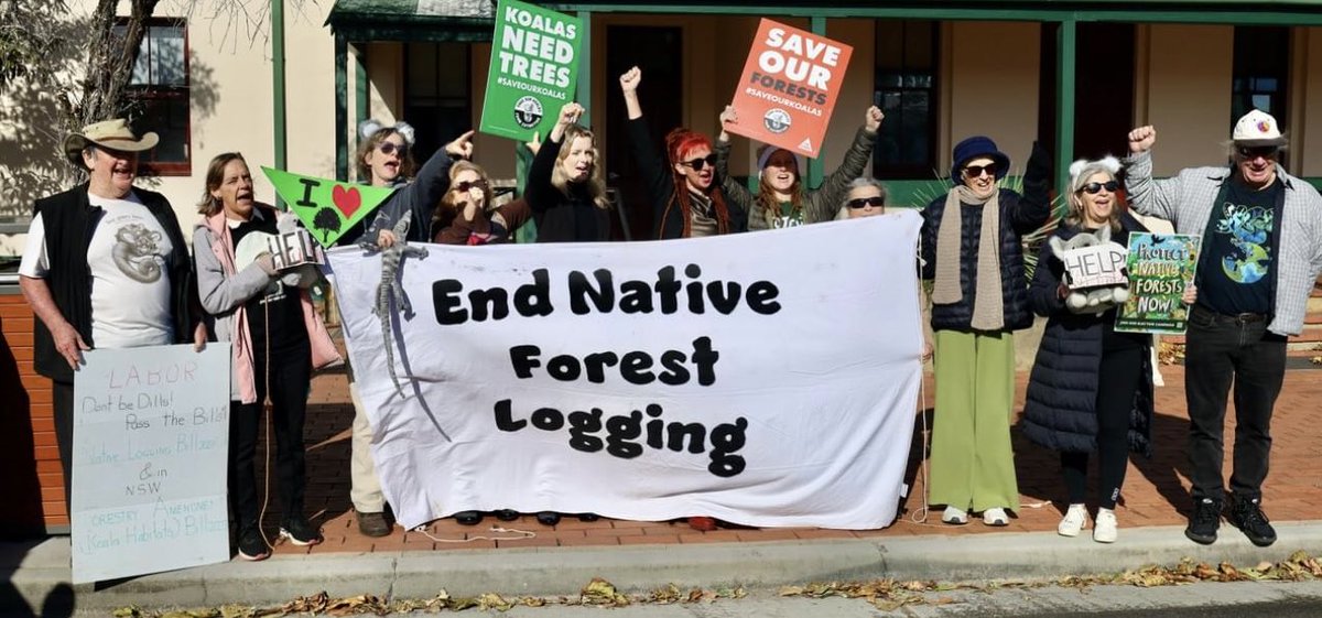 worldzonfire's tweet photo. This week I ran the defence of necessity for two tree sitters - Valerie & Kashmir. This defence has never succeeded in environmental cases in Australia. The Magistrate has reserved judgment so perhaps we will make history! #EndNativeForestLogging #DoubleDukeStateForest #auspol https://t.co/HFvaGf6A8n