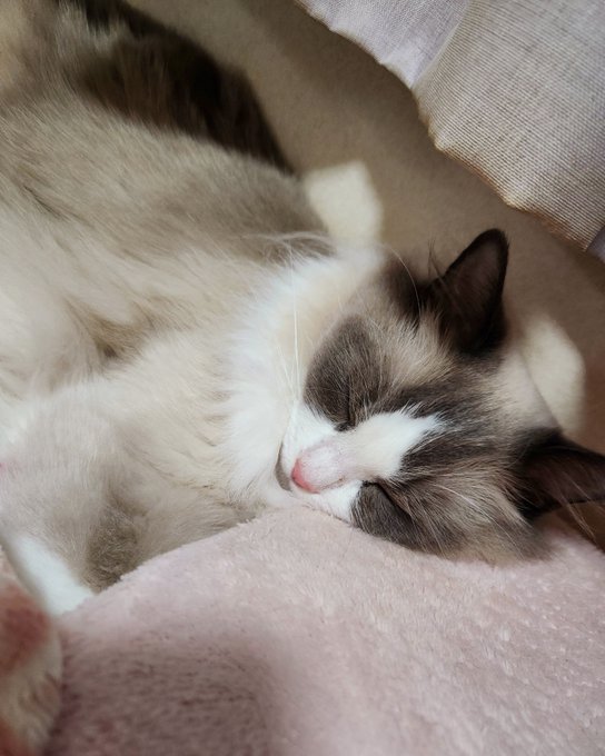 ナンナ まだオネムかも 