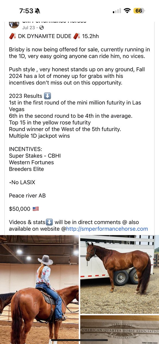 Lolllll I need to win the lottery or something. Barrel horses aren’t cheap 😅🤣 
50k😮