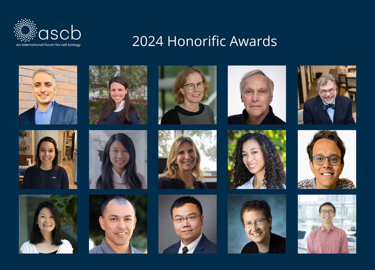SStevenWang's tweet image. Deeply honored and humbled to have been selected to receive the ASCB Innovation In Research Award this year. I could not have received it without the immense support from my mentors and colleagues in the field, and the great work of my lab members. 1/2 ascb.org/society-news/a…