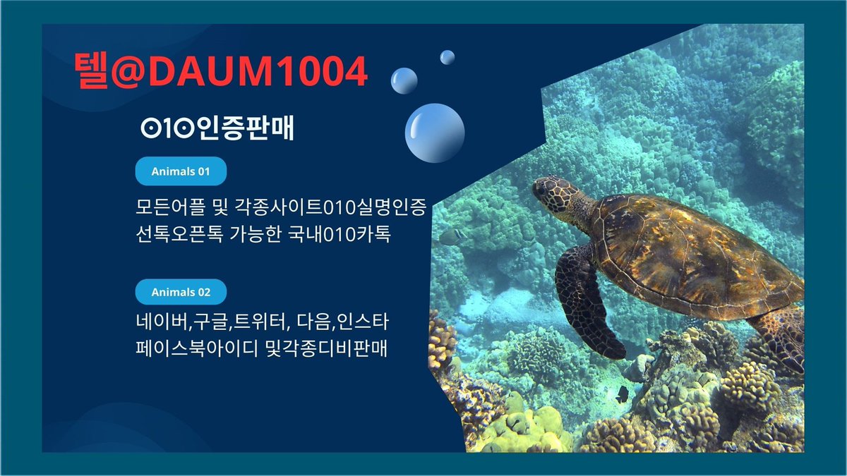 imuseong688728's tweet photo. #당근마켓문자인증거래 
#네이버아이디판매 
#010인증
sedgfewsdfsdf https://t.co/1CUjGbmLS1