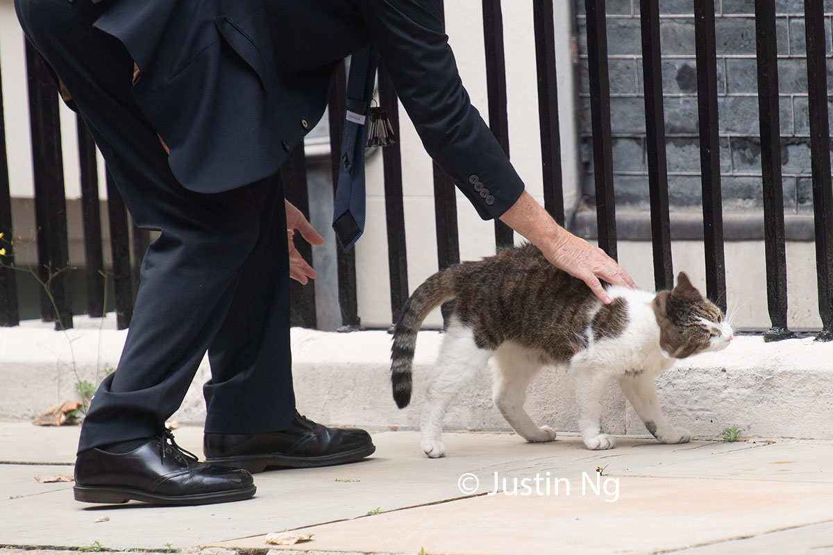 Justin Ng tweet media