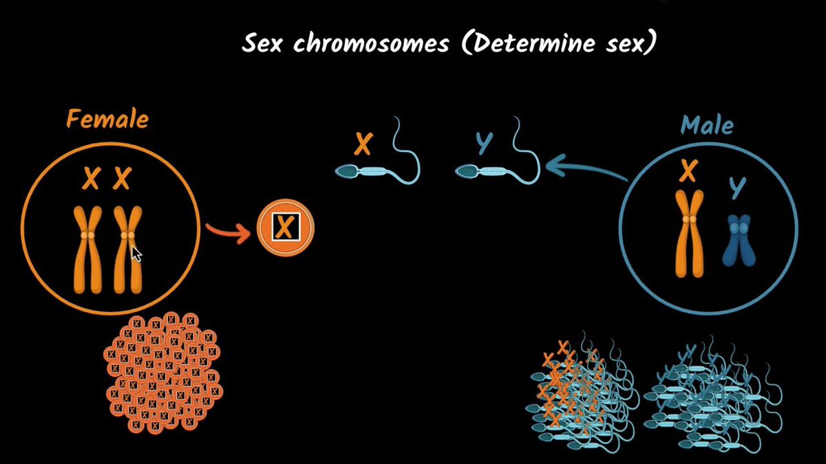EndWokeness's tweet photo. "It's more complicated than that"

No, it's literally not. Biology is biology. https://t.co/kgewq203g0