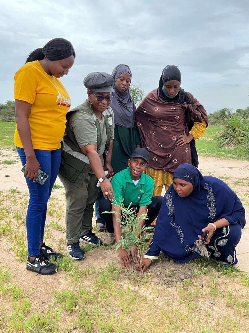 ggwnigeria's tweet photo. The 2024 Direct Planting and Beating Up Exercise has commenced in Bauchi State. https://t.co/kmzbaSFJBW