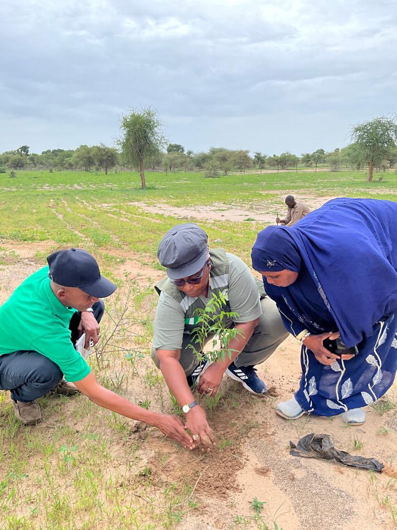 ggwnigeria's tweet photo. The 2024 Direct Planting and Beating Up Exercise has commenced in Bauchi State. https://t.co/kmzbaSFJBW