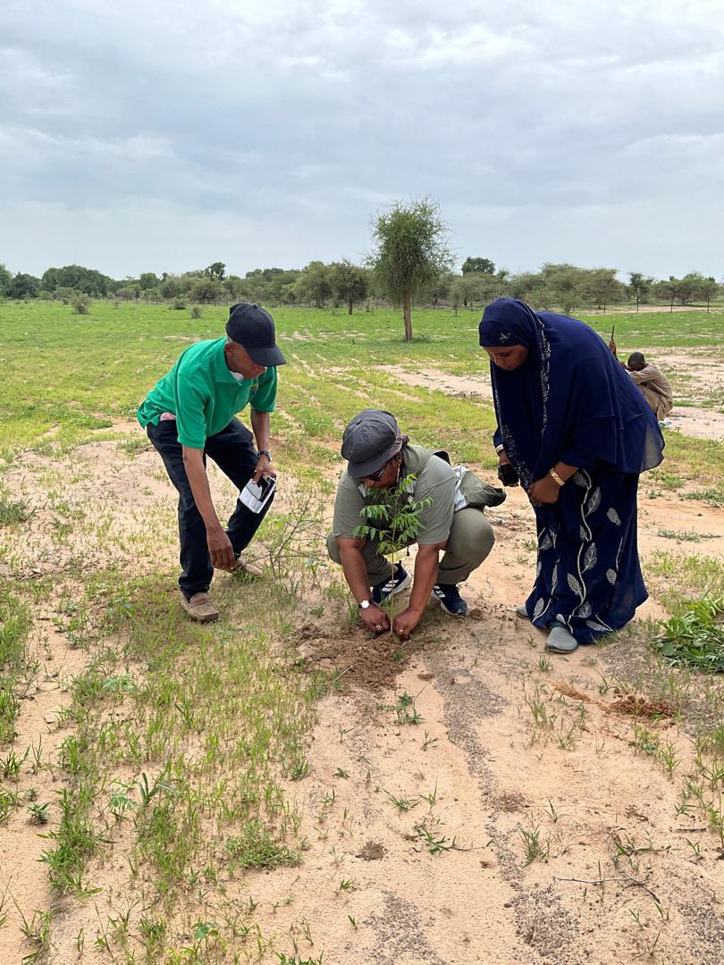 ggwnigeria's tweet photo. The 2024 Direct Planting and Beating Up Exercise has commenced in Bauchi State. https://t.co/kmzbaSFJBW