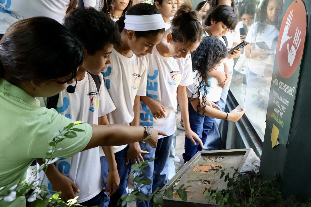 OpEPA's tweet photo. ¿Recuerdan el reto #RedDulceSal 🎖️#DiseñadoresdelaNaturaleza?🌱

🚀Pues el grupo investigador de la IE San Nicolás de Tolentino fue el ganador y ya disfrutaron del premio: ¡Conocer el @zoobaq!🐘

👈¡Desliza y conoce los mejores momentos! 👉

#UKDev #OpEPA @UKBCFs @UKinColombia @HodgsonGeorge