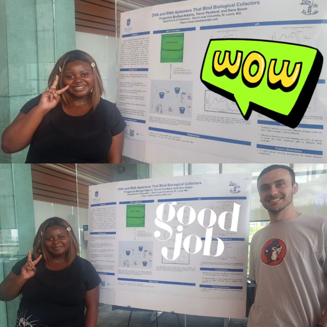 Baum Lab SLU tweet media